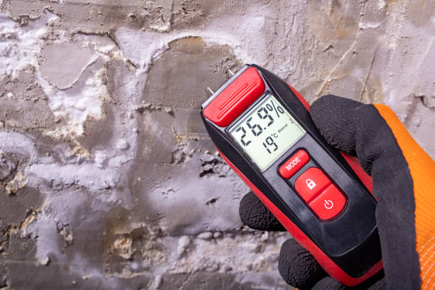 Best Emergency Mold Remediation in Hamilton, MO